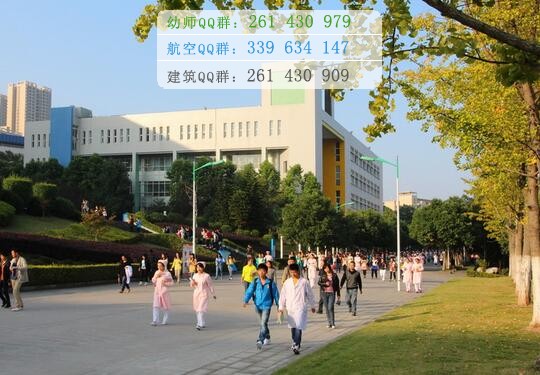 重慶三峽醫(yī)藥高等?？茖W(xué)校