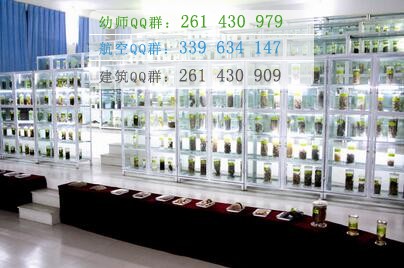 四川中醫(yī)藥高等?？茖W(xué)校