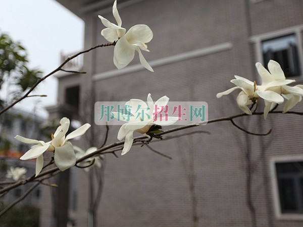 重慶財政學校網(wǎng)站網(wǎng)址