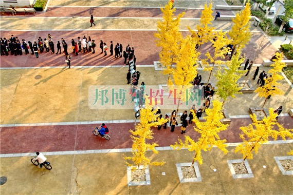 中央財經大學網(wǎng)站網(wǎng)址