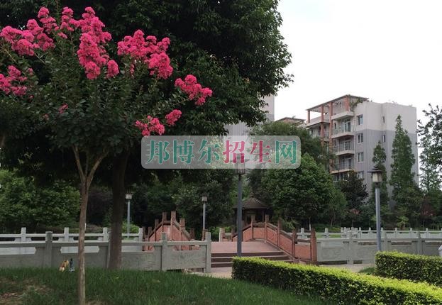 成都有什么好的計算機應用技術(shù)學校
