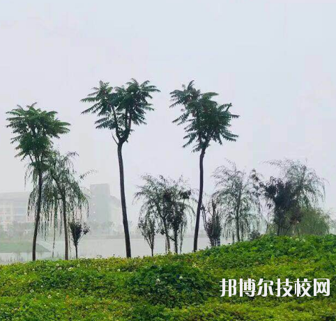 甘肅財貿(mào)職業(yè)學院2020年學費、收費多少