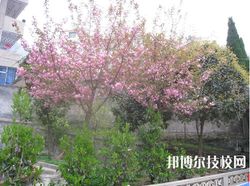 嵐皋縣中等職業(yè)技術(shù)學(xué)校2020年報名條件、招生要求、招生對象