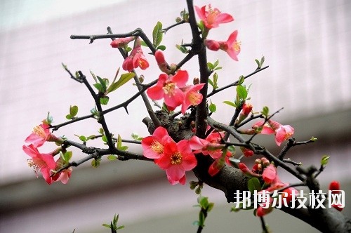 貴州廣播電影電視學(xué)校怎么樣、好不好