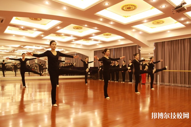 滄州職業(yè)技術(shù)學(xué)院2020年報(bào)名條件、招生要求、招生對(duì)象