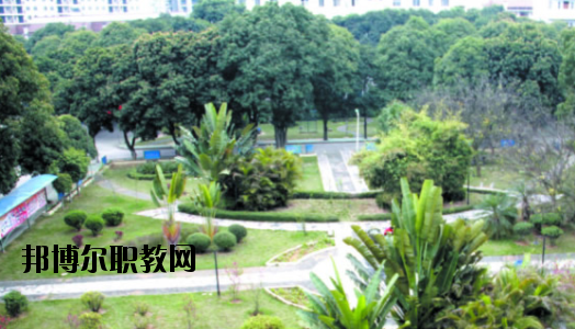 廣西百色農(nóng)業(yè)學校2020年報名條件、招生要求、招生對象 