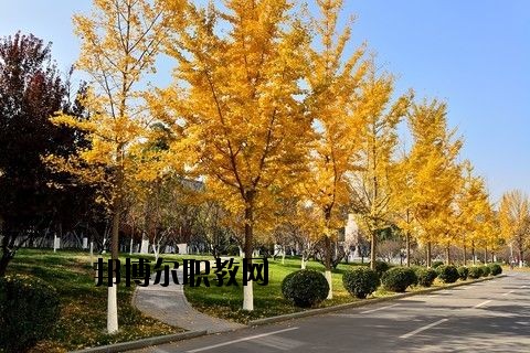 蘄春李時(shí)珍中等專業(yè)學(xué)校怎么樣、好不好