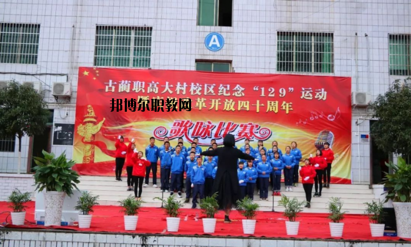 古藺縣大村職業(yè)中學校網(wǎng)站網(wǎng)址