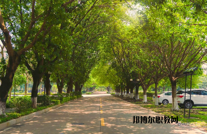 河南團(tuán)校2021年報(bào)名條件、招生要求、招生對(duì)象