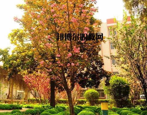 新鄉(xiāng)工業(yè)學(xué)校2021年報名條件、招生對象