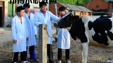 甘南畜牧學(xué)校2020年學(xué)費、收費多少