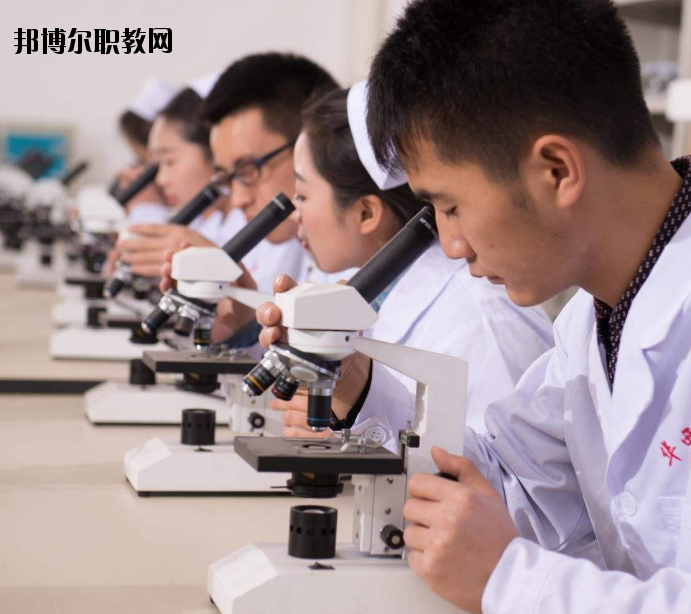焦作護(hù)理學(xué)校怎么樣、好不好