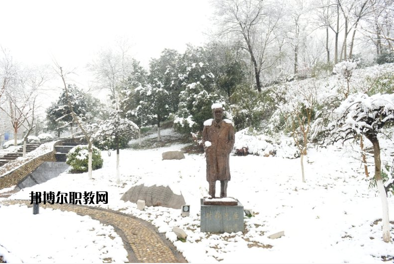 南京工業(yè)大學2020年報名條件、招生要求、招生對象
