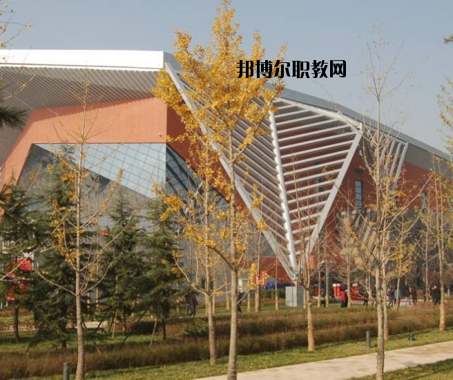 宜昌體育運動學校怎么樣、好不好