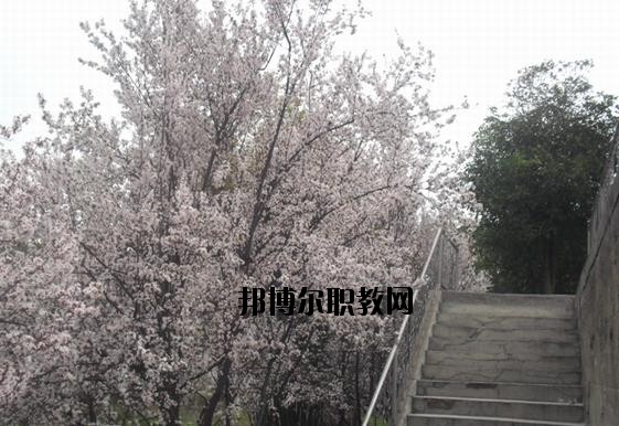 ?？德毥讨行膶W(xué)校網(wǎng)址網(wǎng)站