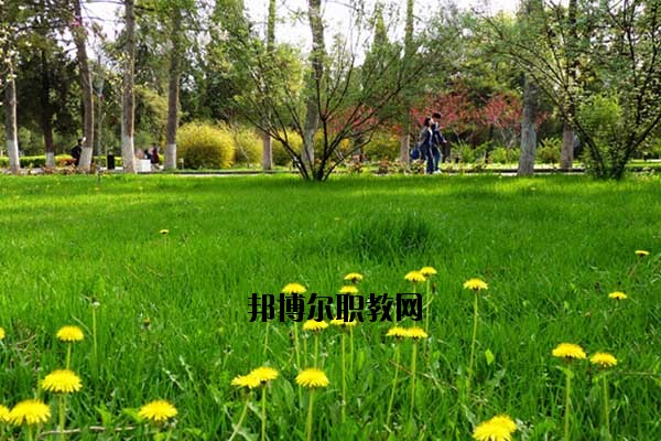 雙江縣職教中心2020年報(bào)名條件、招生要求、招生對(duì)象