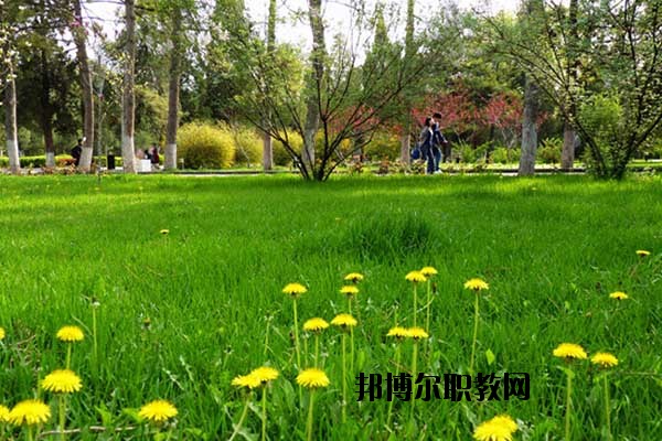 雙江縣職教中心怎么樣、好不好