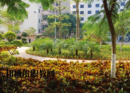 湛江技師學院怎么樣、好不好