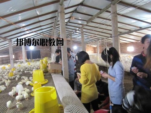 通許中等職業(yè)學(xué)校2021年學(xué)費(fèi)、收費(fèi)多少