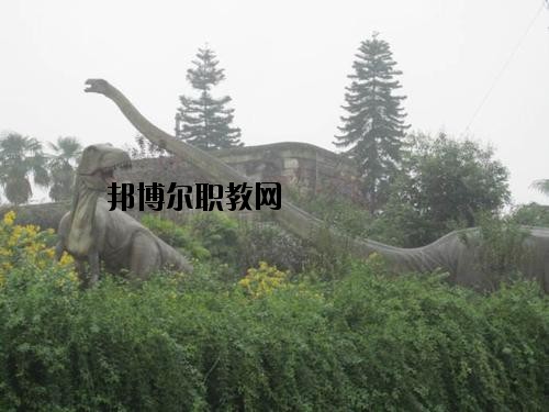 自貢三星職業(yè)技術(shù)學(xué)校2020年報(bào)名條件、招生要求、招生對(duì)象