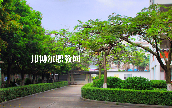 湛江湛港職業(yè)技術(shù)學校網(wǎng)站網(wǎng)址