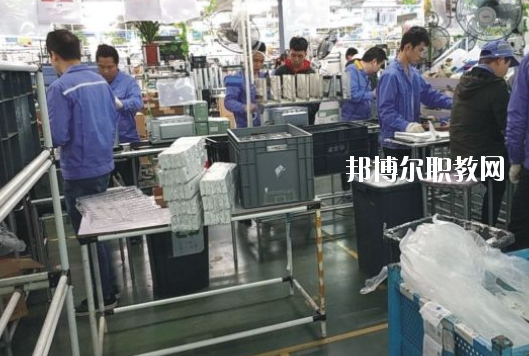 遂溪縣職業(yè)技術(shù)學(xué)校2020年報名條件、招生要求、招生對象