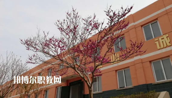成縣化埡農(nóng)職業(yè)中學(xué)怎么樣、好不好
