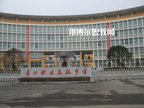 青川縣職業(yè)高級中學(xué)校2020年報名條件、招生要求、招生對象