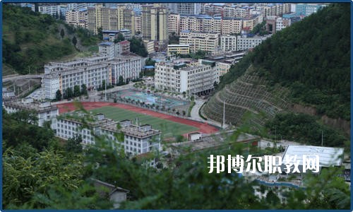 廣元朝天職業(yè)中學(xué)2020年報(bào)名條件、招生要求、招生對(duì)象