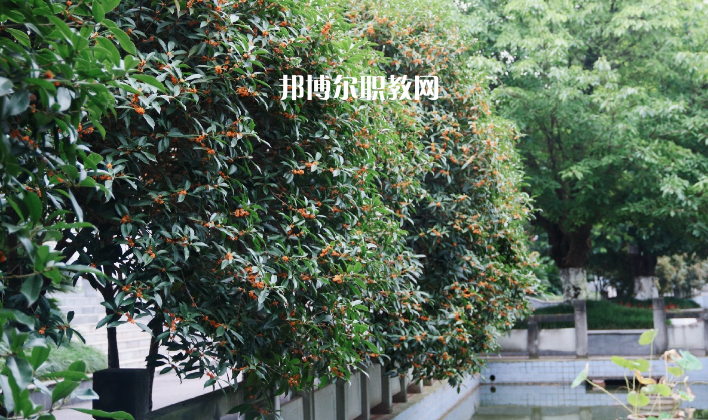德陽通用電子科技學(xué)校怎么樣、好不好