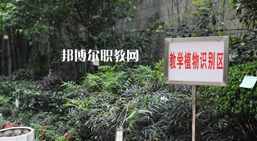 重慶風(fēng)景園林技工學(xué)校2022年學(xué)費(fèi)、收費(fèi)多少