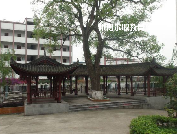 四川合江先市職業(yè)高級(jí)中學(xué)校怎么樣、好不好