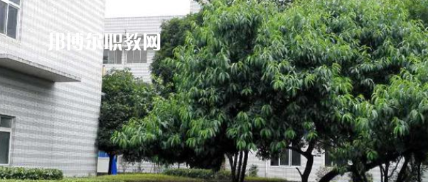 成都市中山職業(yè)技術(shù)學(xué)校2022年報(bào)名條件、招生要求、招生對(duì)象