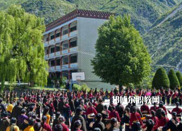 四川省藏文學(xué)校2022年報(bào)名條件、招生要求、招生對(duì)象