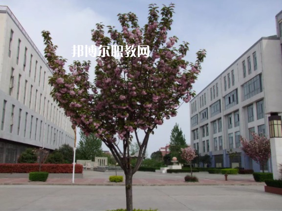 陳倉區(qū)職業(yè)教育中心2022年報名條件、招生要求、招生對象