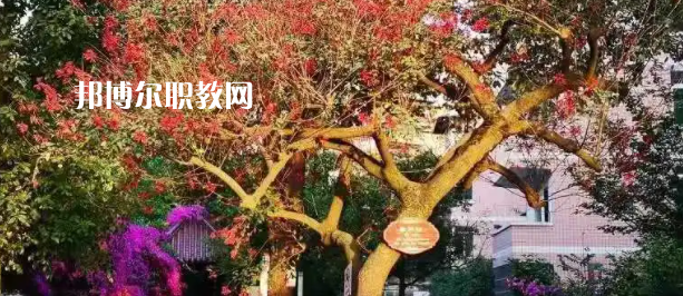 四川雙流建設(shè)職業(yè)技術(shù)學(xué)校2022年有哪些專(zhuān)業(yè)