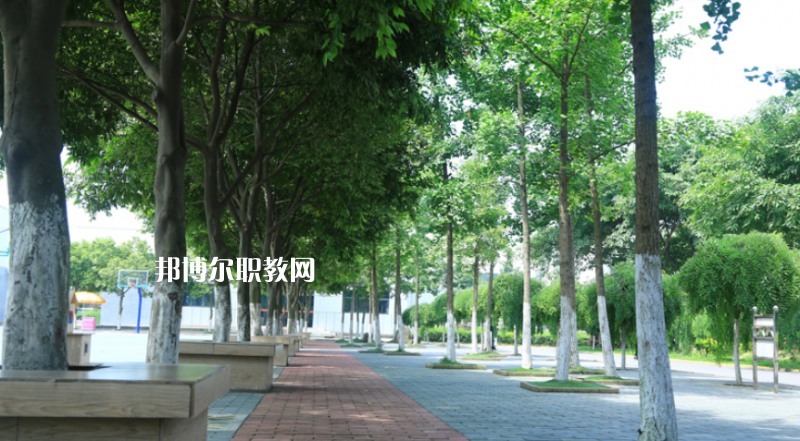 樂山計算機學(xué)校怎么樣、好不好