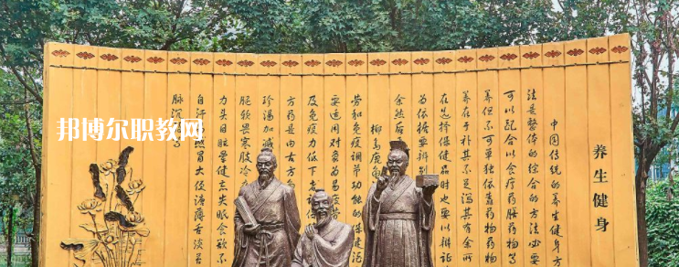 成都中醫(yī)藥大學附屬醫(yī)院針灸學校網站網址