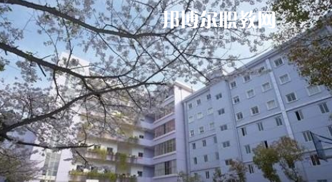 武漢體育舞蹈藝術(shù)學(xué)校2022年怎么樣、好不好