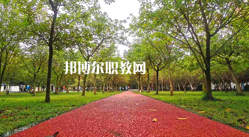 2023年四川國(guó)盛技工學(xué)校醫(yī)護(hù)救援部學(xué)費(fèi)、收費(fèi)多少