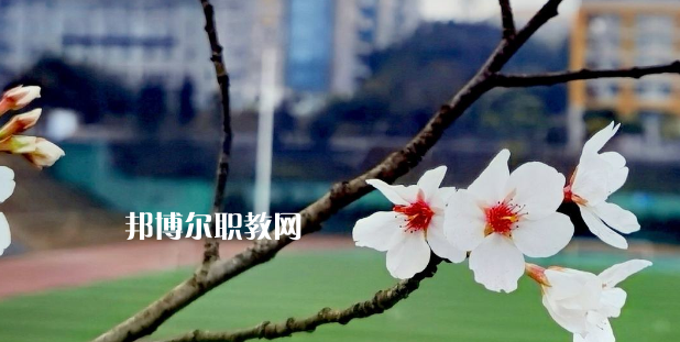 2023眉山技師學(xué)院招生計(jì)劃 招生人數(shù)是多少(附要求、條件、對(duì)象)