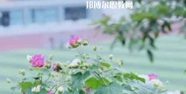 眉山技師學院地址在哪里，哪個地區(qū)，哪個城市?