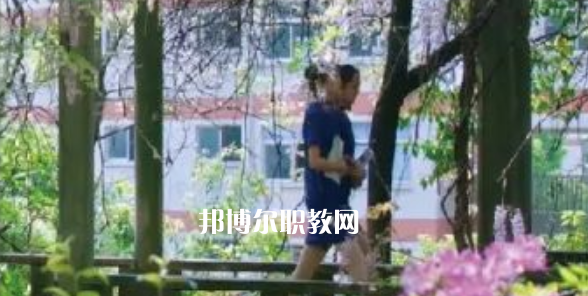 2023金華市成功學(xué)校招生計劃 招生人數(shù)是多少(附要求、條件、對象)