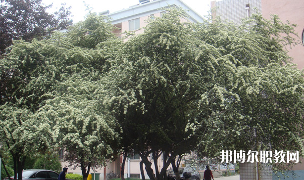 寶雞技師學院地址，乘車路線