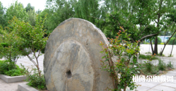 野風(fēng)美術(shù)中學(xué)怎么樣、好不好