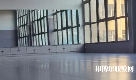 2023秦皇島市藝新舞蹈學(xué)校招生計劃 招生人數(shù)是多少(附要求、條件、對象)