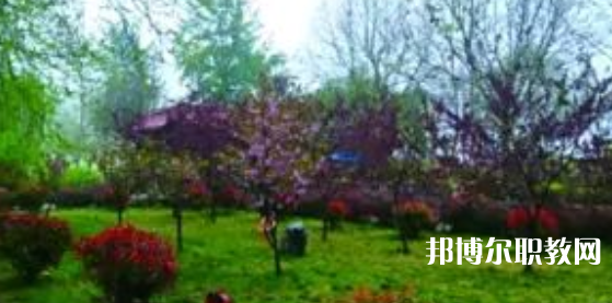 2023隆堯縣職業(yè)技術(shù)教育中心招生計(jì)劃 招生人數(shù)是多少(附要求、條件、對(duì)象)