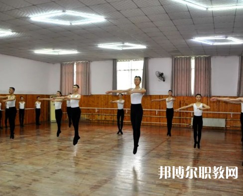 武漢體育舞蹈藝術(shù)學校2023年招生錄取分數(shù)線（2024參考）