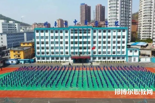 2024丹東市中醫(yī)藥學(xué)校招生計(jì)劃 招生人數(shù)是多少(附要求、條件、對(duì)象)