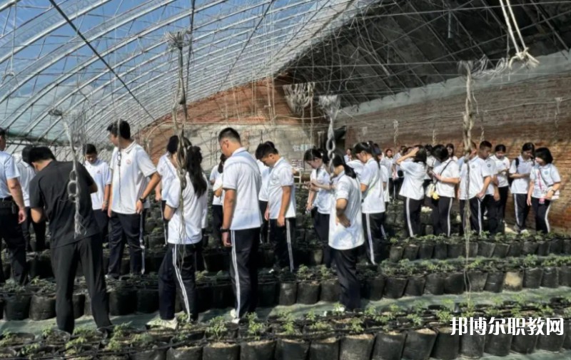 2024營口市農(nóng)業(yè)工程學校招生計劃 招生人數(shù)是多少(附要求、條件、對象)